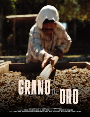 [Image]「El Grano de Oro（金の粒）」